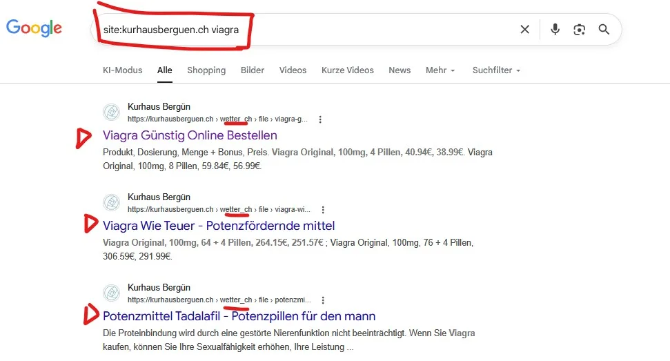 Die Hacker-Welle gegen Schweizer Traditions-Websites